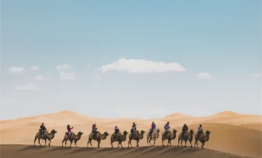 United Arab Emirates Desert,