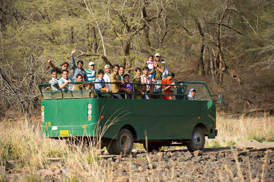 Ranthambhore Canter Safari jungle