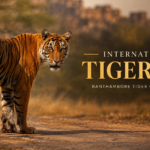 International Tiger Day