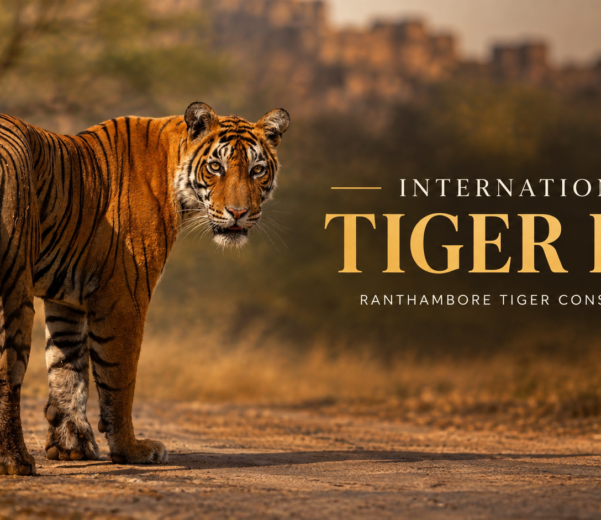 International Tiger Day