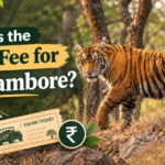 What Is the Entry Fee for Ranthambore